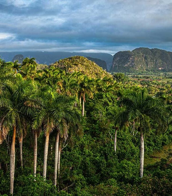 Valle-Vinales-Cuba